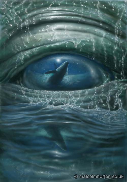 Through The Whales Eye